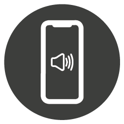 Audio Issue