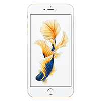 iPhone 6 Plus